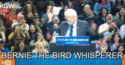 Bernie the bird whisperer – gif