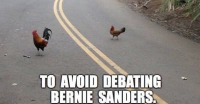 Why did Chicken Trump and Chicken Hillary cross the road?