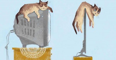   How tech has changed cats lives –  Then vs Meow