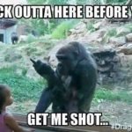 Gorilla Shot Memes