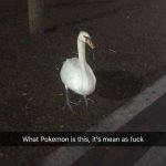 Pokemon Go Meme – What Pokemon Is This It’s Mean AF